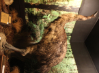 Ang kumpanya na nagbalik sa buhay ng extinct dire wolf ay naghahanda na ngayon upang muling buhayin ang higanteng ibon ng New Zealand na si Moa