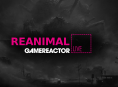 Naglalaro kami ng Reanimal sa GR Live ngayon
