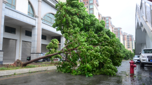 Milyun-milyong lumikas sa China nang mag-landfall ang bagyong Bavi